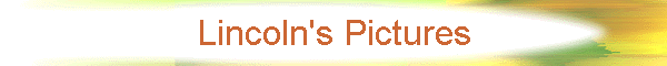 Lincoln's Pictures
